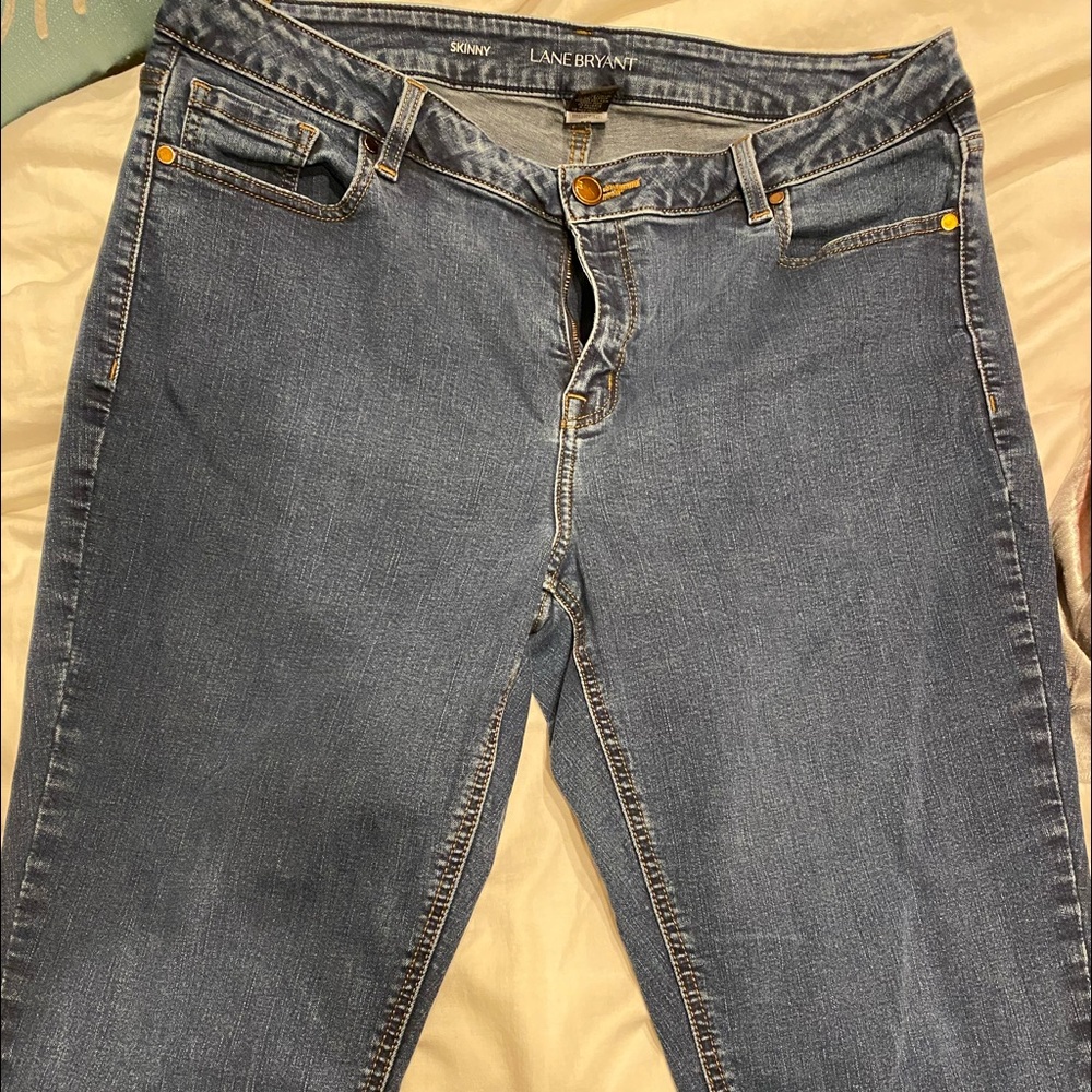 Lane Bryant Skinny Jeans